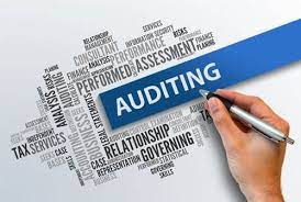 audit services