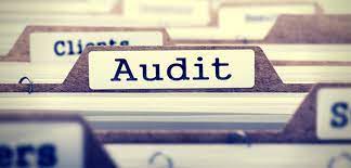 Auditing Services