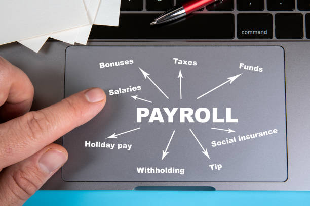 Top Payroll Services to Streamline Your Business Operations